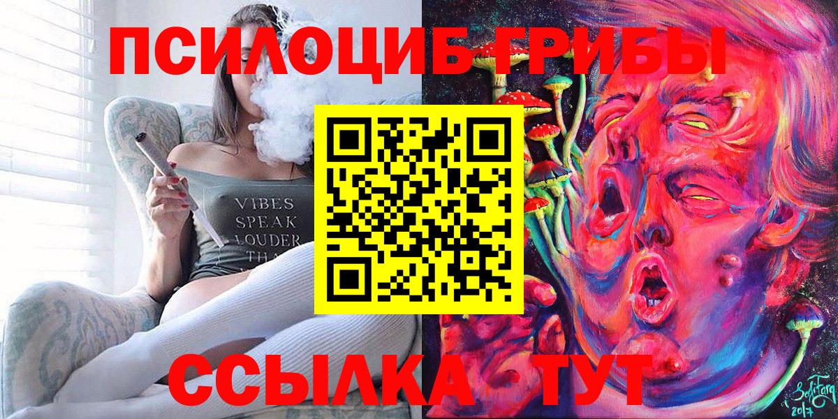Галлюциногенные грибы Psilocybe Подольск